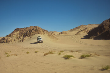 sand dunes in the sahara desert