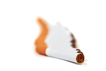 Cigarettes lies with a filter to us on a white background