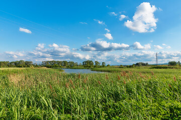 Nature Park Ponjavica in Serbia. Ponjavica Nature Park is a protected natural asset on the territory of the municipality of Pancevo, on the left bank of the lower course of the Danube River.