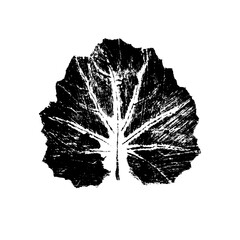 Leaf imprint illustration on white background, ink prints of natural leaves, image black and white illustration, paint prints of a leaf, hand made