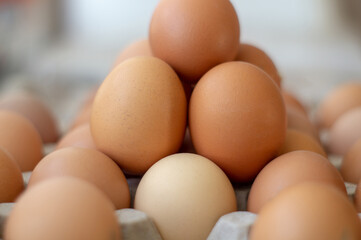brown chicken eggs in a package with a blurry background