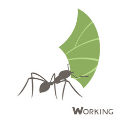 Creative design of ant working