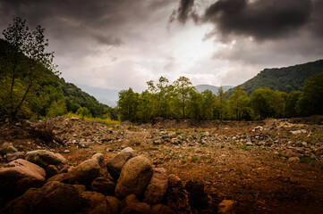natural environment landscape with woods and hills in a dark cloudy day
