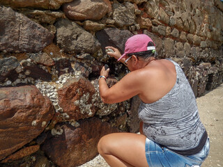 woman collecting shellfish at low tide lower city salvador bahia brazil