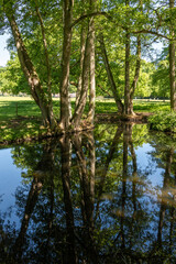 Water and trees in the Deer Park (Hirschpark) in Hamburg Blankenese