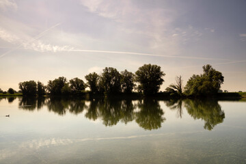 Fototapeta na wymiar Floodplain river Waal