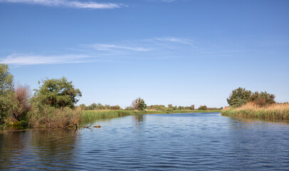 Fototapeta na wymiar Landscape from the Danube delta wetland.