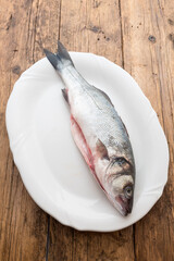 Sea bass with white background