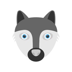 Raccoon face icon in flat design style. Creative logo, mascot element.