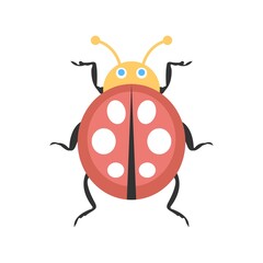 Animated ladybug icon illustration. Flat design style. Ladybird symbol for logo, mascot design element.