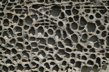 Abstract pattern in rock created by saltwater erosion of a sea wall