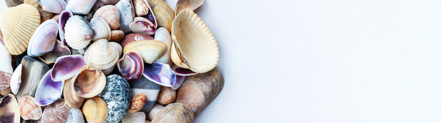 Banner with space for text. On the left, large and small striped, yellow, gray, gradient, pink, purple, white, lilac, multi-colored shells are mixed with striped, spotty, gray, white, brown pebbles.