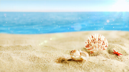 Color shell on sand beach over turquoise ocean.