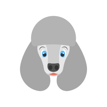 Cute animated poodle icon in flat design style.