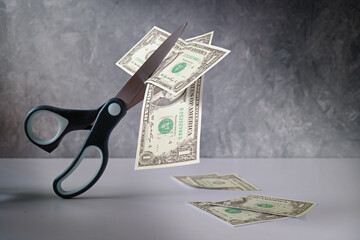 Business concept, one Dollar banknote is cut with scissors, metaphor for income reduction during...