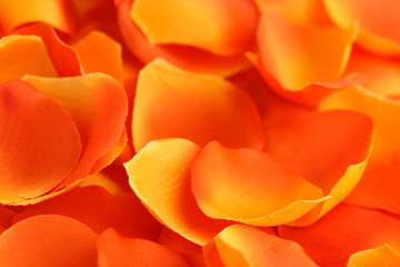 Artificial rose red-yellow petals background.