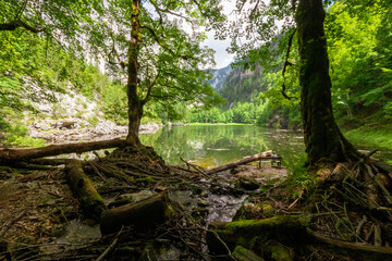 Woman sitting at the lakeshore of the legendary Lake Kammersee, Ausseer Land, Styria, Austria,...