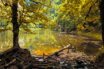 Woman sitting at the lakeshore of the legendary Lake Kammersee, Ausseer Land, Styria, Austria, which is enclosed by mountains and a primeval forest
