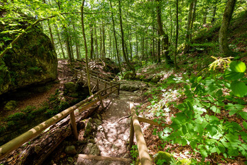 Trench in the rock, made by raftsmen centuries ago, deep in the primeval forest surrounding the legendary Lake Kammersee and Toplitzsee, Austria