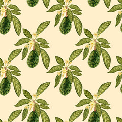 Avocado watercolor. Seamless pattern on a light background. Botanical illustrations. Tropical plant.