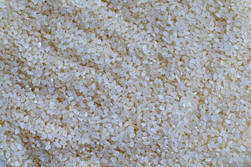 round grain rice closeup texture