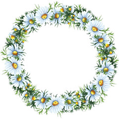 Watercolor floral wreath with chamomile flowers, leaves, foliage, branches, fern leaves, place for your text. Perfect for wedding, invitations, greeting cards, print. Round autumn’s wildflowers frame