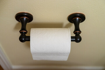 Roll of Toilet Paper on Holder in Bathroom