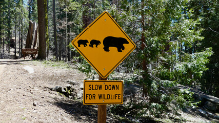 Watch out! for wildlife sign in Sequoia National Park