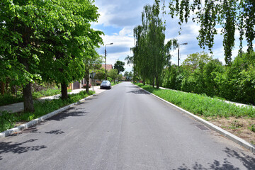 Jezdnia asfaltowa i chodnik w słoneczne południe zacienione zielonymi drzewami. - obrazy, fototapety, plakaty