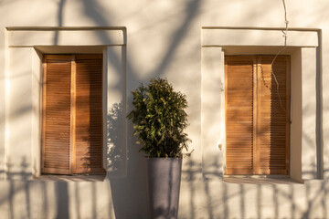 2 windows are closed with wooden shutter. Yellow wall with windows, potted plant and fence shadow.