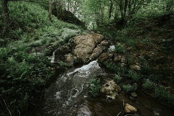 Deep forest river wild waterfall view. Forest river wild landscape. Wild river stream rocks flowing. Forest river rocks view