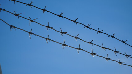 Rusty barbed wire against a cloudy sky. Serving a sentence behind barbed wire. Fencing.