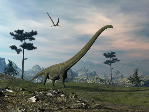 Mamenchisaurus dinosaur walk by sunset - 3D render