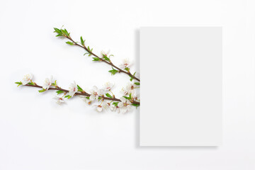 Minimalistic vertical  card mockup with cherry branch, flower, blossom on clean white background