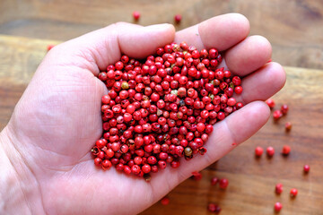 Pink peppercorns in a man's hand on a wooden background. Seasoning in the palm of a person. The concept of delicious food.