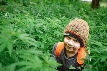 6 years old boy in hemp bushes