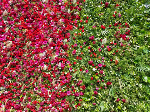 Vertical garden with flowers and greenery