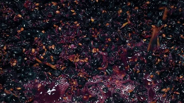 Fermentation of grapes in a winery close up