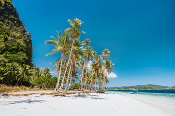 El Nido, Palawan, Philippines. Beautiful Ipil beach with coconut palm trees, sandy beach and blue...
