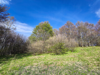 Obraz premium Spring landscape of Vitosha Mountain, Bulgaria