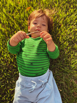 Cute baby boy lying on the grass in a sunny day playing with a wooden stick. View from above.