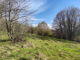 Spring landscape of Vitosha Mountain, Bulgaria