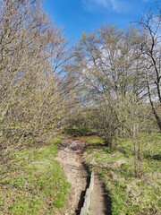 Spring landscape of Vitosha Mountain, Bulgaria