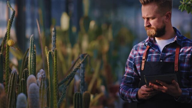 Concentrated charismatic gardener man make some notes on his electronic tablet about the condition of decorative plants. Shot on ARRI Alexa Mini