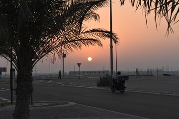 Sunset view in the city.Sun in behind palm tree and bike rider.