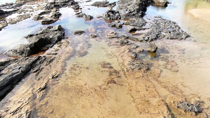 contemplate the sunset and the sea from the cliffs next to the Golden sand