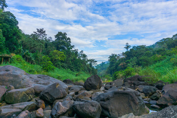 Fototapeta na wymiar Blue sky and green background near to a river in Sri Lanka.