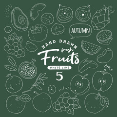 Handdrawn_fruit5_2