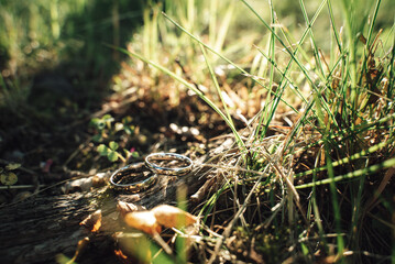 Couple of wedding rings laying on piece of wood in grass. Play of light and shadows. Outdoor background. Wedding day concept.