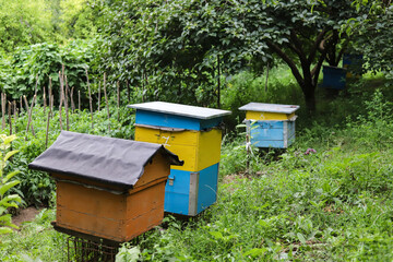 Several homemade hives in the garden at the cottage.